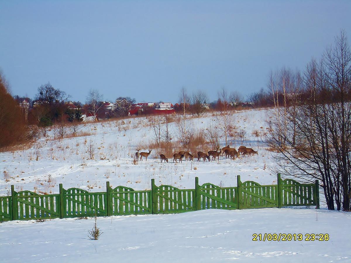 Mazurska Chata Jezioro I Aquapark 6 Min, Centrum I Promenada 12 Min Mikołajki Buitenkant foto